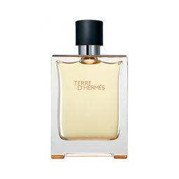 HERMES TERRE DHERMES m EDT 100 ml M