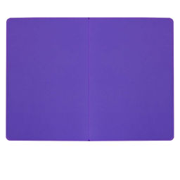 Ежедневник недатированный ESCALADA, by VLAD KRAVCHUK, А6+, 120 л., арт. 64035/ 20 ПРУД  фото 7