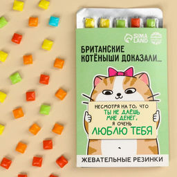 Жевательная резинка Ты не даёшь мне деньги, в блистере, 11, 5 г.