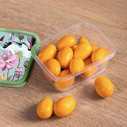 Цена за 2 шт. Контейнер для продуктов прямоугольный 1,5л с декором (зеленый) 222132218/08,,