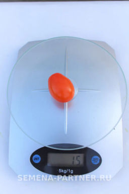 Томат Черри Ля Мур - Партнер фото 4