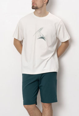 ШОРТЫ МУЖСКИЕ арт. 6523M-45041.4H-718