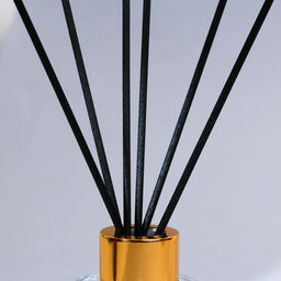 Диффузор ароматический палочки «Новогодняя коллекция: Все мечты сбудутся», аромат жасмин, 50 мл