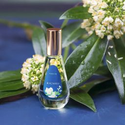 Dilis Жасмин духи 9,5 мл  фото 2