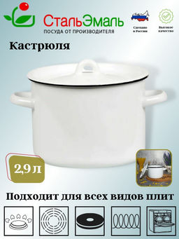 Кастрюля 2,9л цил белосн. 2с16/1