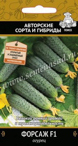 Огурец Форсаж F1 (А) (ЦВ) 12шт.