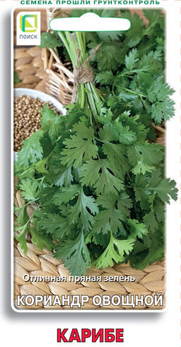 Кориандр овощной Карибе (ЦВ) 3гр - Поиск фото 2