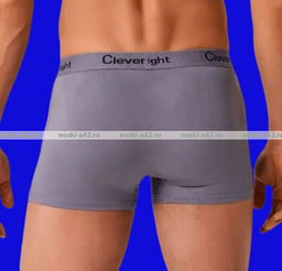 Цена за 2 шт. 2 ШТУКИ - Трусы мужские боксеры JUJUBE (Корсюги, СЛАВА) арт. 251, 2006, 3001