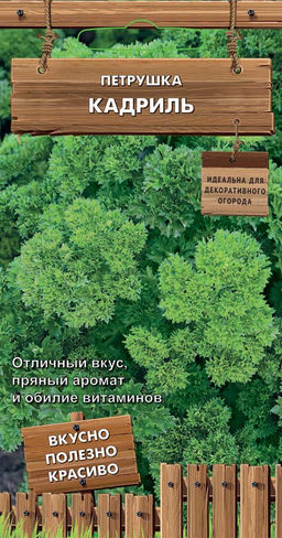 Петрушка Кадриль (сер. Декоративный огород) (А) (ЦВ) 2гр - Поиск фото 2