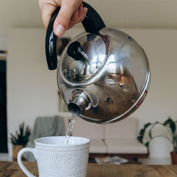 Чайник для плиты 3,0л 1с44 со свист. пл/ручк.