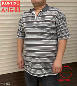 Мужская футболка в полоску