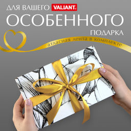 VAL CH-BC-GBb Подарочная коробка 26*26,5*10 см., 1шт. CHIC, шт - Valiant фото 12