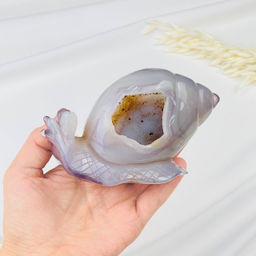 Улитка резная из Агата серого с жеодой