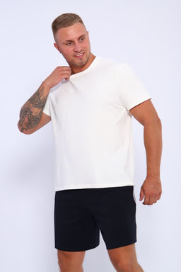 Шорты мужские 35336