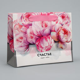 Цена за 2 шт. Пакет подарочный ламинированный, упаковка, Счастье ждёт тебя 22?17.5?8 см