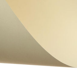 Цена за 50 шт. Картон цветной тонированный А2, 200 г/м², слоновая кость