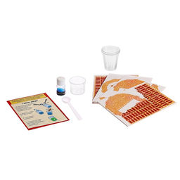 Набор для опытов Чудеса света: Колизей, в пакете