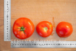 Томат Мадам Помпадур - Партнер фото 7