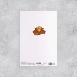 Набор открыток На все случаи жизни, 20 шт, 12 18 см - Дарите счастье фото 33