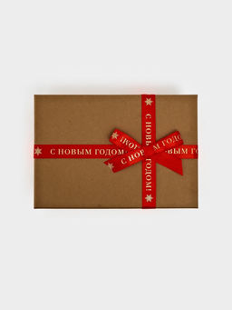 Цена за 2 шт. Лента атласная для упаковки подарков С Новым годом 2 см ? 5 м, тиснение