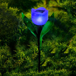 USL-C-453/PT305 PURPLE TULIP Садовый светильник на солнечной батарее Лиловый тюльпан. Белый свет. 1*LR аккумулятор в/к. IP44. TM Uniel. - Volpe фото 11