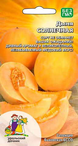 Дыня СОЛНЕЧНАЯ  Сорт не обманет ваших ожиданий! Дивный аромат и великолепный, незабываемый медовый вкус!