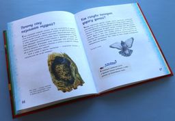 Миллион вопросов о животных, обо мне и мире вокруг и самых разных любопытных вещах