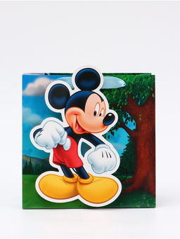 Цена за 2 шт. Пакет подарочный «Мышонок», 22 × 22 × 10 см