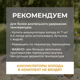 Термосумка 30л, с крышкой EXPEDITION