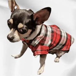 Кофта - рубашка фланелевая для мелких пород собак и кошек "BRO Style", цвет красный, р L