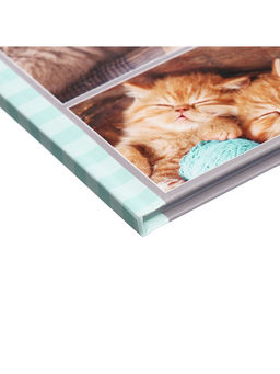 Цена за 2 шт. Дневник универсальный для 1-11 классов, «Котята», твердая обложка 7БЦ, глянцевая ламинация, 40 листов