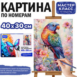 Картина по номерам MKR4030-140 "Попугайчик" 40х30 см.