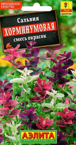 Сальвия Хорминум, смесь 0,3г (Аэлита)