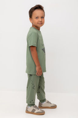 КР 400795/папоротник,следы динозавра к540 брюки для мал