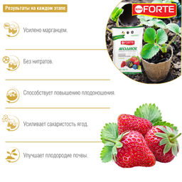 Компл. мин. удобр. "Bona Forte" Ягодное гранулир.с микроэл., пакет 2,5кг
