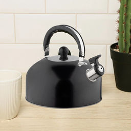 Чайник, Casual, объем 2,7 л, со свистком, из нержавеющей стали, окрашенный, цвет: чёрный арт.985624