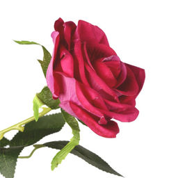 Цветок искусственный Роза 90 см 5 бутонов / NT47-6 /уп 50/400/ - Галеонтрейд фото 5