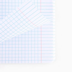 Цена за 3 шт. Тетрадь в клетку, 48 л., А5, на скрепке, блок №1 «Котик с лапками» МИКС