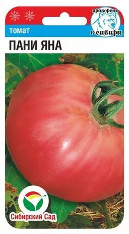 Пани Яна томат 20шт (сс)
