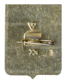 Значок Судогда