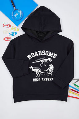 Gri Melanj Erkek Cocuk Mevsimlik-Ince Dinozor Desenli Kapusonlu Orme Sweatshirt TKDAW25SW00004 - Trendyolmilla фото 2