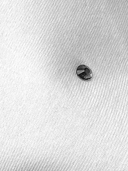 VILATTE / Футболка из премиального хлопка со стразами  фото 2