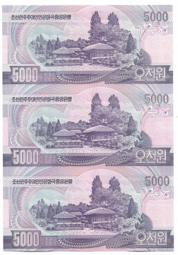5000 вон 2006 года Северная Корея  Лист из трех банкнот