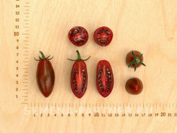 Томат Мистика - Партнер фото 7