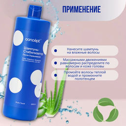 PROFY TOUCH Шампунь-стабилизатор для волос после окрашивания Concept 1000 мл  фото 8