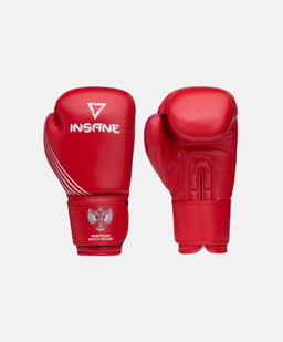 Перчатки боксерские INSANE RBF IN25-BG700, красный, 10 oz