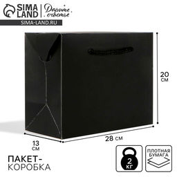 Пакет—коробка «Чёрный», 28 х 20 х 13 см