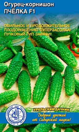 Огурец ПЧЁЛКА F1 Как трудолюбивая пчёлка, плодоносит обильно и длительно! Суперзасолка! Пучковый тип завязи!