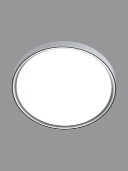 Люстра LED FZ1247, 1600-5000K, 20 Вт, d=30 h=6 см, без ПДУ
