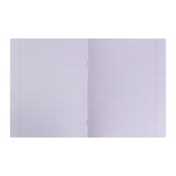 Набор предметных тетрадей Calligrata «Мрамор светлый», 10 предметов, 48 листов, со справочным материалом, обложка из мелованного картона, УФ-лак, б�...